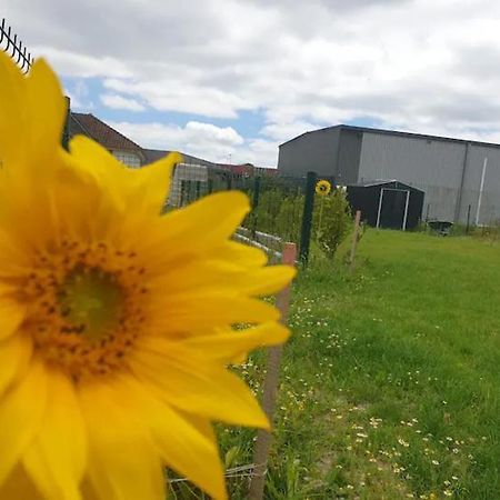 Chambre Calme Dans Une Maison Neuve Avec Jardin Billere Buitenkant foto